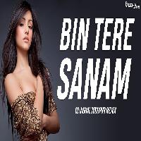 Bin Tere Sanam (Remix) - DJ Vishal Jodhpur